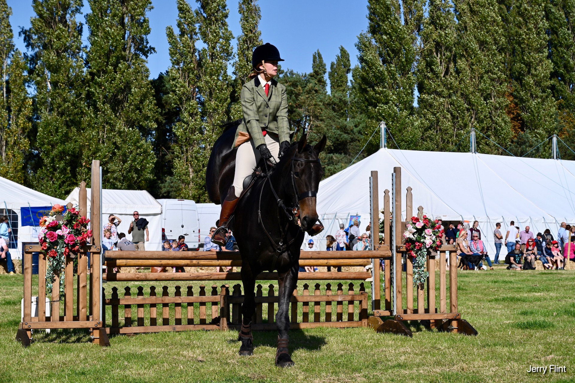 Collingham Show