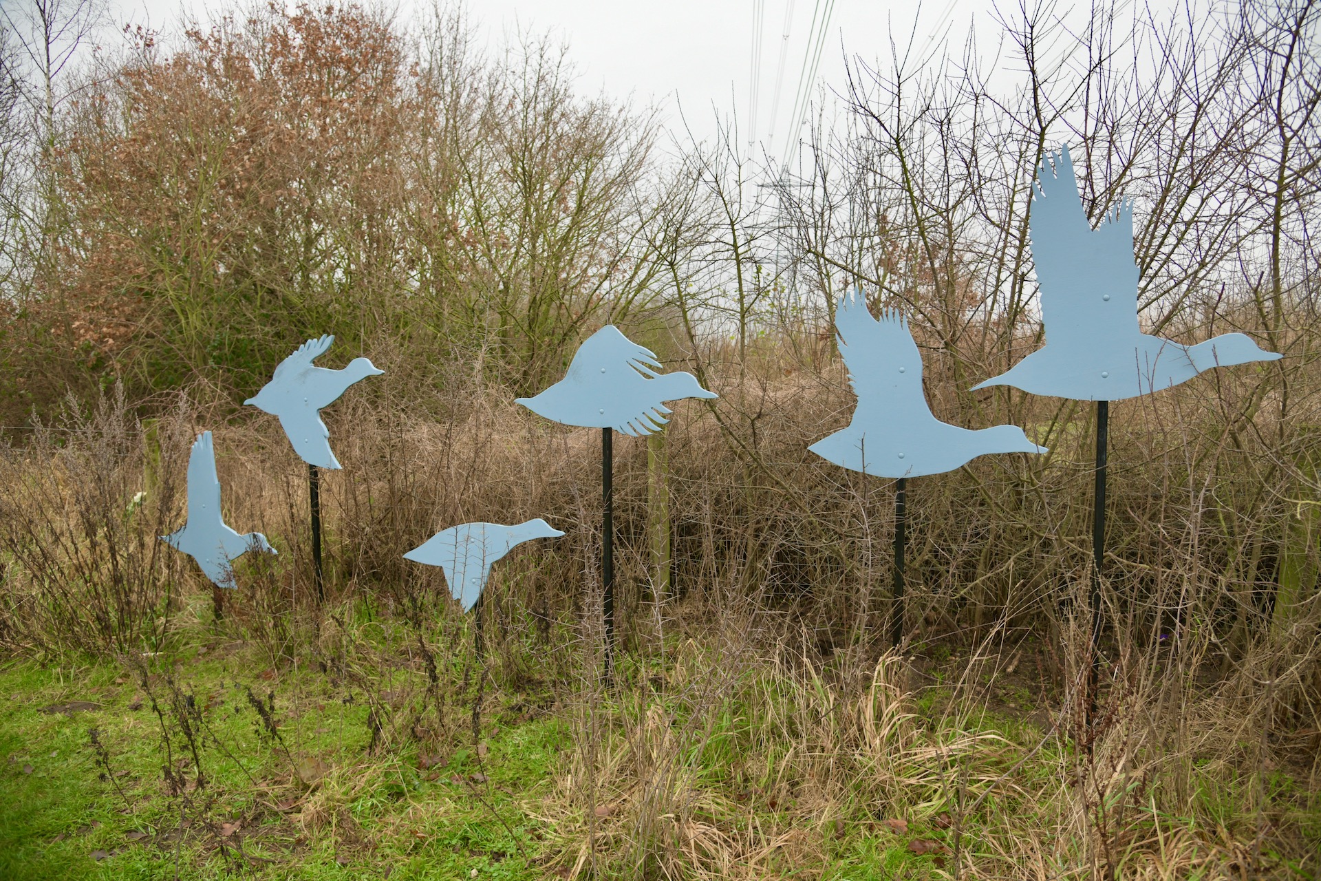 Whisby Nature Reserve