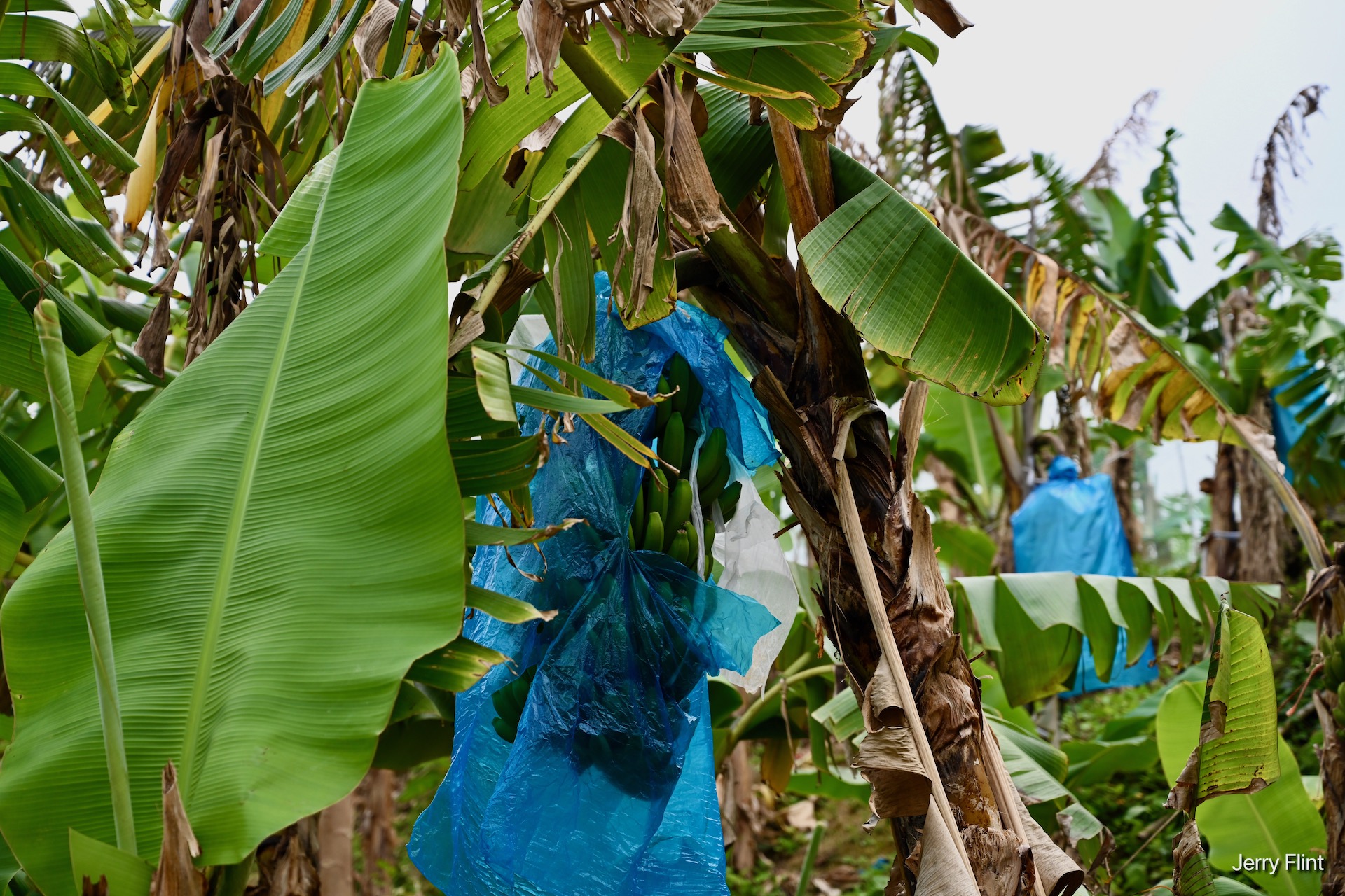 Hike: Discovery Bay to Mui Wo