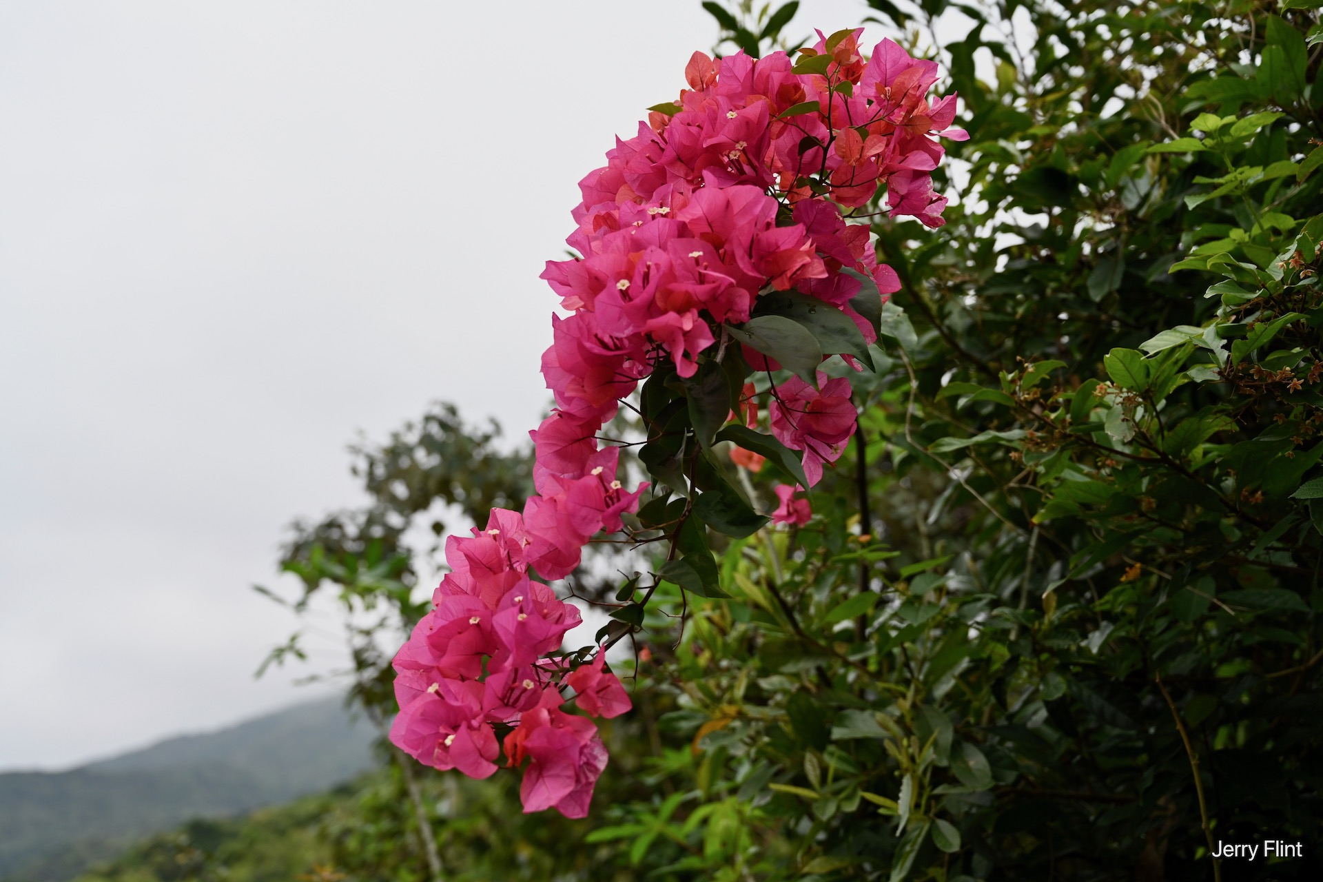 Hike: Yet another hike to Mui Wo