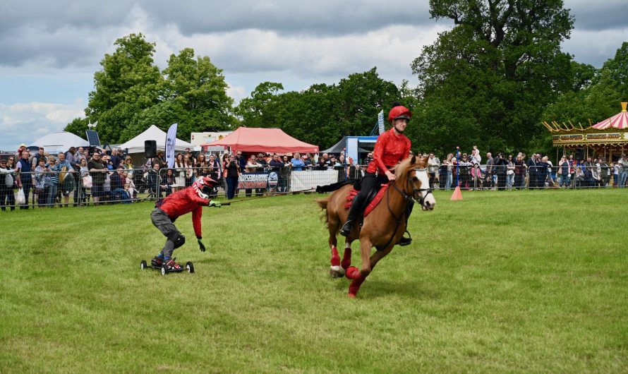 Living Heritage Game and Country Fair