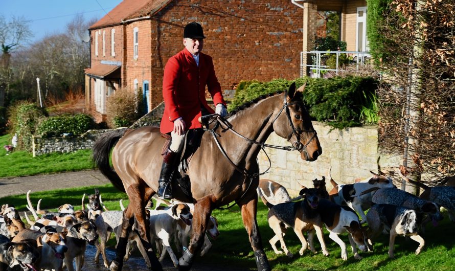 Blankney Hunt meet at Coleby.